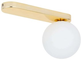 Φωτιστικό Οροφής - Πλαφονιέρα Bianca 4698 1xG9 6W 27x15cm Gold TK Lighting