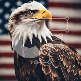 Intra Συλλεκτικό Ξύλινο Παζλ Plywood 4mm - Φαλακρός αετός μπροστά από την αμερικανική σημαία Σε Ξύλινο Κουτί - Διαστάσεις: 10x10 cm – 25 κομμάτια