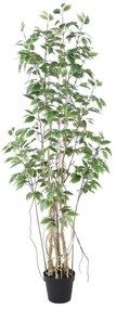 Supergreens Τεχνητό Δέντρο Φίκος "Ginseng" Πράσινο 170 εκ.