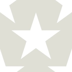 Ταπετσαρία Τοίχου Παιδική Star 72123 53 cm x 10 m