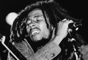 Φωτογραφία Bob Marley Performs On Stage, Express Newspapers