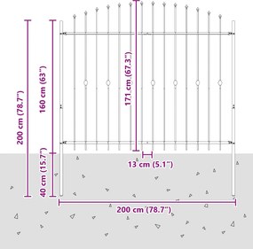 vidaXL Φράχτης με Σπίθες Μαύρο 200 x 200 cm