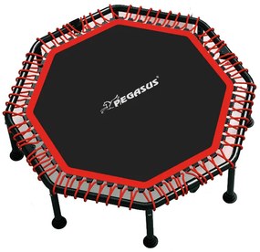 Pegasus® Pegasus® Οκτάγωνο τραμπολίνο 48" (122cm) Β 4503