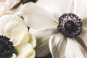 Εικόνα ανθισμένα λουλούδια - 90x60