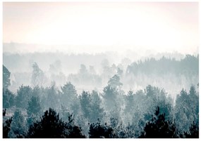 Φωτοταπετσαρία - Winter Forest 350x245