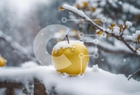 Intra Συλλεκτικό Ξύλινο Παζλ Plywood 4mm - Χιονισμένο κίτρινο μήλο στο υποκατάστημα Σε Ξύλινο Κουτί - Διαστάσεις: 10x10 cm – 25 κομμάτια