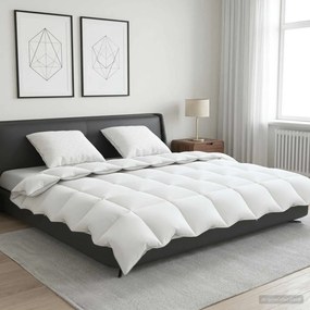 vidaXL Σετ πάπλωμα 90% χήνας FULDA 3 τμχ. 200 x 200 cm Όλες οι εποχές