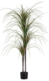 GloboStar® Artificial Garden DRAGON BLOOD TREE 20015 Τεχνητό Διακοσμητικό Φυτό Δράκαινα Υ150cm