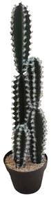 Διακοσμητικός Κάκτος Σε Κασπώ 00.04.40044 50cm Green-White Plastic