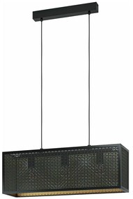 Φωτιστικό Οροφής - Ράγα 43559 Sallicano 3/E27 Black-Gold Eglo Metal