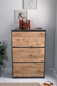 Stewehome Ντουλάπι Παπουτσιών 3 Θέσεων Ανθρακί & Δρυς 73.6x24x110 cm
