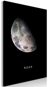 Πίνακας - Moon (1 Part) Vertical - 40x60