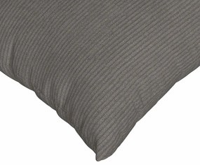 vidaXL Μαξιλάρι Καναπέ 2 pcs Ανοιχτό γκρι 60 x 60 cm