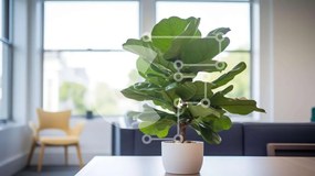 Intra Συλλεκτικό Ξύλινο Παζλ Plywood 4mm - Μικρό φυτό σε γλάστρα σε τραπέζι γραφείου Σε Ξύλινο Κουτί - Διαστάσεις Puzzle: 10x10 cm – 25 κομμάτια