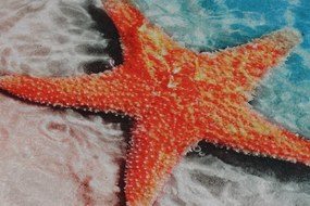 Bathmat Set (2 Pieces) Stella Multicolor