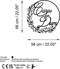 Decorative Metal Wall Accessory Carpe Diem 1 Black