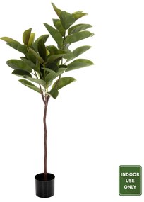 ΔΙΑΚΟΣΜΗΤΙΚΟ ΣΥΝΘΕΤΙΚΟ ΦΥΤΟ HM4000 ΔΡΥΣ ΣΕ ΓΛΑΣΤΡΑ Φ18x14,5-160Υεκ