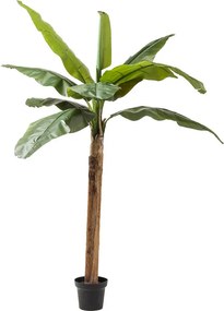 Διακοσμητικό Φυτό Banana Tree 190 εκ. - Πράσινο