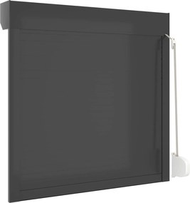 vidaXL Ρολό εισόδου Ανθρακί 100 x 100 cm Αλουμίνιο και Πολυουρεθάνη