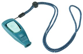 Λουρί Σκύλου Coachi