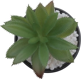 Τεχνητό Φυτό σε Μοντέρνο Μαύρο Κεραμικό Γλαστράκι 8x14cm