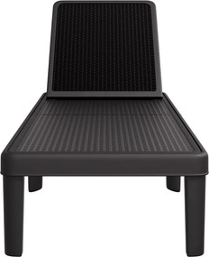 vidaXL Ξαπλώστρα Ρυθμιζόμενη σε 4 Ύψη 155,5x57x28 εκ. Πολυπροπυλένιο