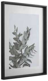 Κάδρο Renabie 423012 31,5x41,5cm Black Eglo Κάθετοι Wood, Glass