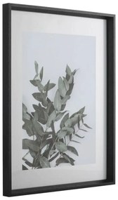 Κάδρο Renabie 423012 31,5x41,5cm Black Eglo Κάθετοι Ξύλο,Γυαλί