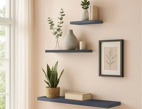 ΡΑΦΙΈΡΕΣ/ΡΆΦΙΑ ΤΟΊΧΟΥ FLOATING SHELF MDF L50*22,8CM ANTHRACITE GREY 6RAN