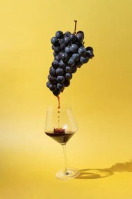 Φωτογραφία Still life with black grapes and, Amax Photo