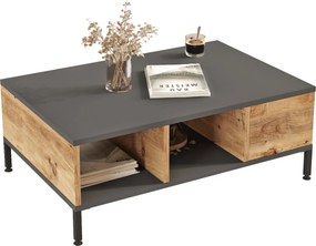 Τραπέζι Σαλονιού  Rl2-Aa- 90x60x33,1εκ - Χρώμα Atlantic Πεύκο Ανθρακί