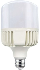 Λαμπτήρας Led T10035NW E27 35W 4000K 3650lm White Aca