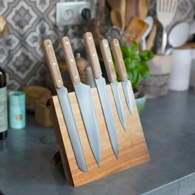 Σετ Μαχαιριών Livoo Χάλυβας Ανοξείδωτο ατσάλι (5 Μονάδες)