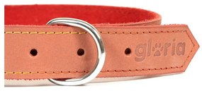 Κολλάρο Σκύλου Gloria Oasis Κόκκινο (35 x 1,2 cm)