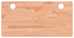 vidaXL Επιφάνεια Γραφείου 100x50x4 εκ. από Μασίφ Ξύλο Οξιάς