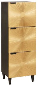 vidaXL Βοηθητικό ντουλάπι Μαύρο και Χρυσό 40 x 33,5 x 110 εκ