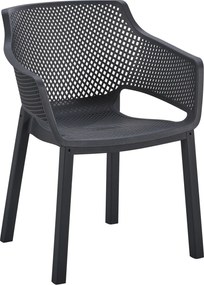 ΠΟΛΥΘΡΟΝΑ ΠΟΛΥΠΡΟΠΥΛΕΝΙΟΥ PEGGY HM6368.02 ΜΑΥΡΟ 60x55x79Υεκ