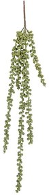 Τεχνητό Φυτό Bean Leave PT3645 60cm Green Present Time Πλαστικό
