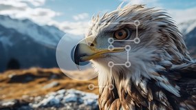 Intra Συλλεκτικό Ξύλινο Παζλ Plywood 4mm - Αετός σε πτήση με βουνά και μπλε ουρανό Σε Ξύλινο Κουτί - Διαστάσεις: 10x10 cm – 25 κομμάτια