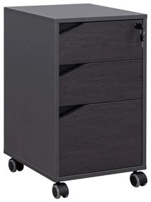 ΕΠΑΓΓΕΛΜΑΤΙΚΗ ΣΥΡΤΑΡΙΕΡΑ ΓΡΑΦΕΙΟΥ ΜΕ ΡΟΔΑΚΙΑ ROSEWOOD HM2108 42X42X60Y εκ.