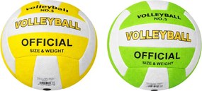 Μπάλα βόλεϋ σε διάφορα χρώματα - Volleyball