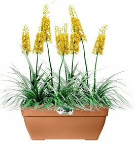 Βάζο Λουλουδιών Elho Ø 76,5 cm Πλαστική ύλη Ορθογώνιο Σύγχρονη