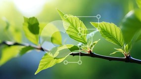 Intra Συλλεκτικό Ξύλινο Παζλ Plywood  4mm - Κοντινό πλάνο των πράσινων φύλλων σε ένα κλαδί δέντρου Σε Ξύλινο Κουτί - Διαστάσεις: 10x10 cm – 25 κομμάτια