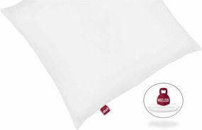 Σετ 2 μαξιλαριών Abeil (x2)