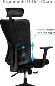 Office Chair Set (2 Pieces) Lumbar 126 - Black Black