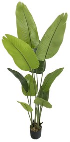 BANANA ΤΕΧΝΗΤΟ ΦΥΤΟ ΣΕ ΓΛΑΣΤΡΑ PEVA ΠΡΑΣΙΝΟ H180cm - 032207