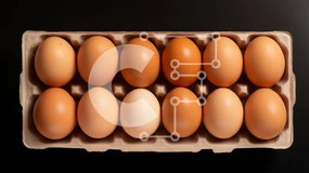 Σετ των 2 Intra Συλλεκτικό Ξύλινο Παζλ Plywood 4mm - Κουτί αυγών με 12 καφέ αυγά Σε Ξύλινο Κουτί - Διαστάσεις: 10x10 cm – 25 κομμάτια