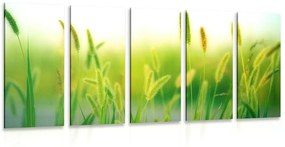 5 μέρη εικόνα κοτσάνια γρασίδι σε πράσινο σχέδιο - 100x50