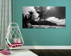 Εικόνα μιας όμορφης παραλίας στο νησί των Σεϋχελλών σε ασπρόμαυρο - 100x50