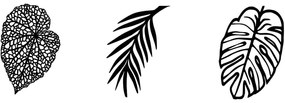 Διακοσμητικό Τοίχου Leaves (Σετ 3Τμχ) 899SKL2480 21x32/23x33/24x33cm Black Wallity Μέταλλο
